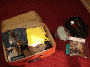 Brandi Love's luggage